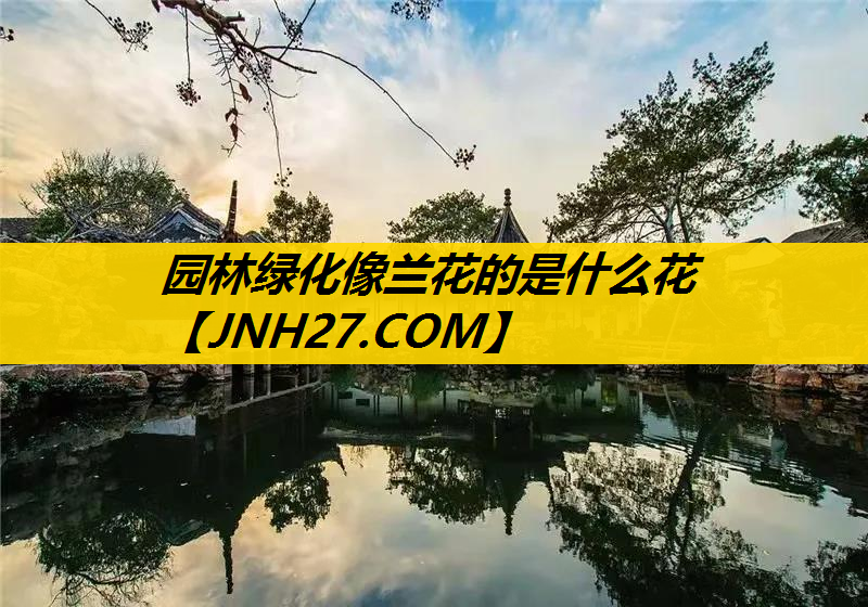 园林绿化像兰花的是什么花
