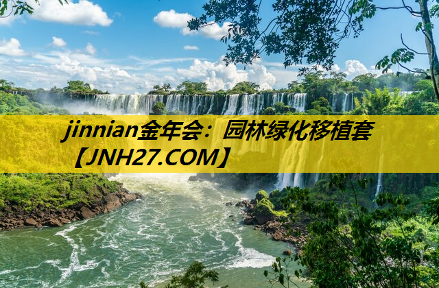 园林绿化移植套