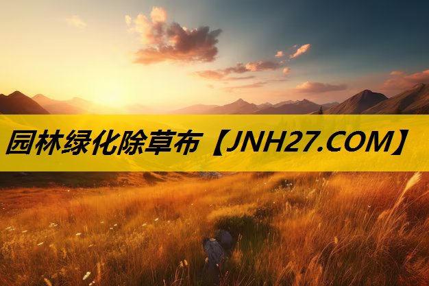 园林绿化除草布