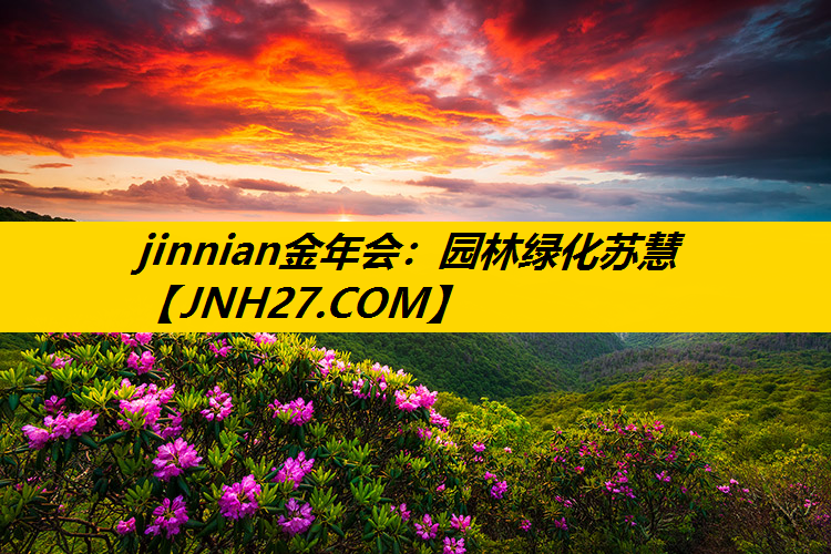 园林绿化苏慧