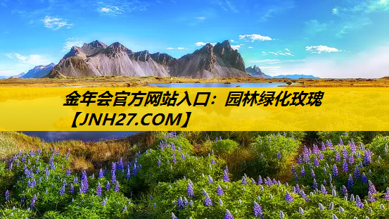 园林绿化玫瑰