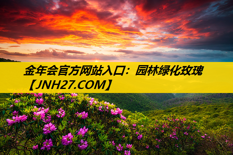 园林绿化玫瑰