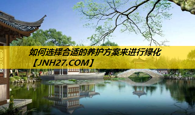 如何选择合适的养护方案来进行绿化