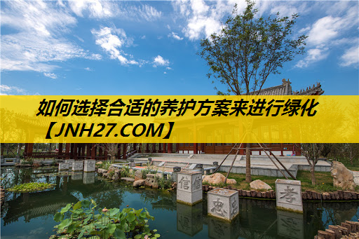 如何选择合适的养护方案来进行绿化