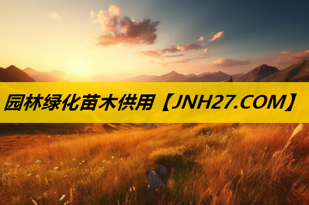 园林绿化苗木供用