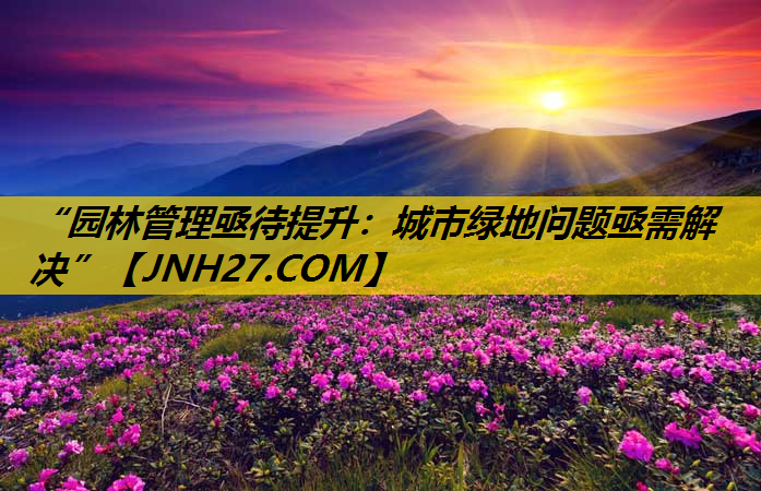 “园林管理亟待提升：城市绿地问题亟需解决”