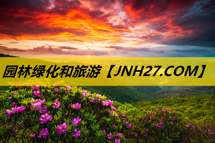 园林绿化和旅游