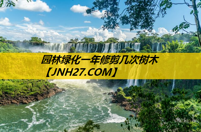 园林绿化一年修剪几次树木