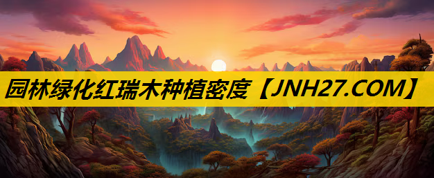 园林绿化红瑞木种植密度