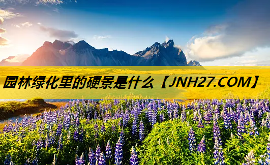 园林绿化里的硬景是什么
