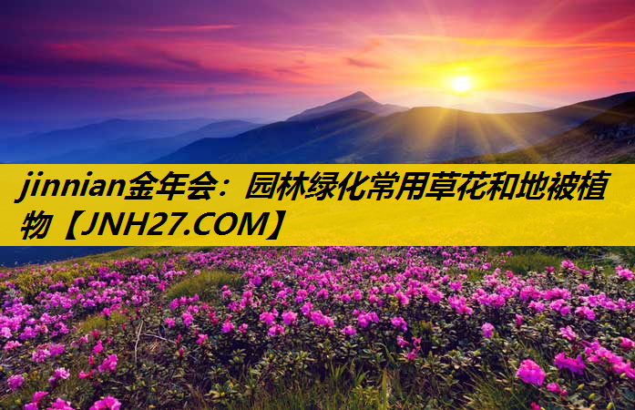 园林绿化常用草花和地被植物