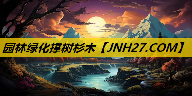 园林绿化撑树杉木