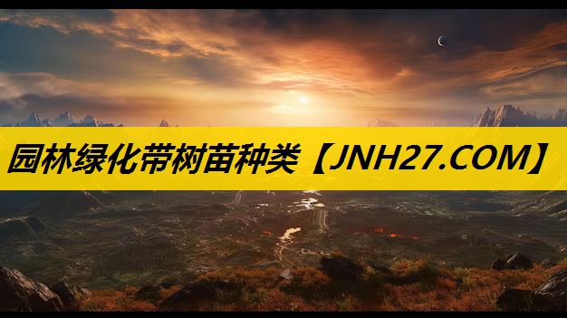园林绿化带树苗种类