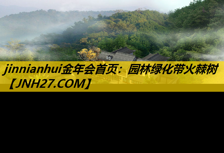 园林绿化带火棘树