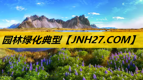 园林绿化典型