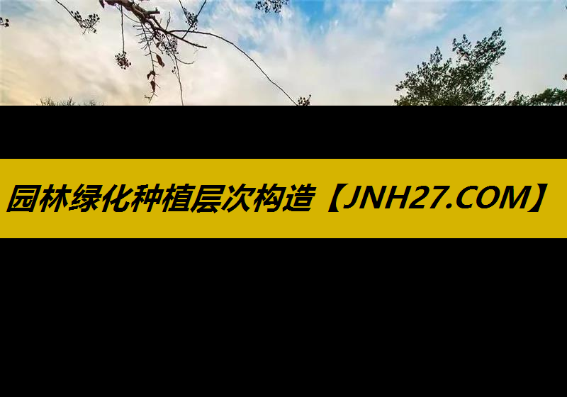 园林绿化种植层次构造