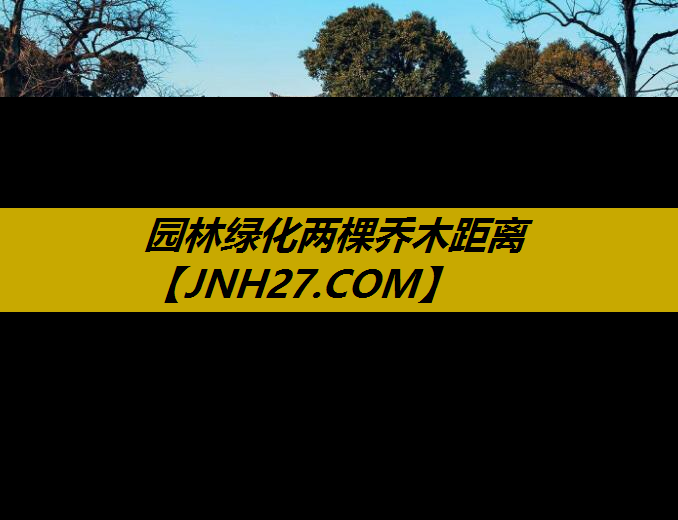 园林绿化两棵乔木距离