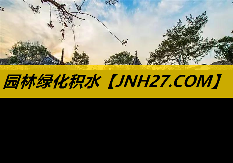 园林绿化积水