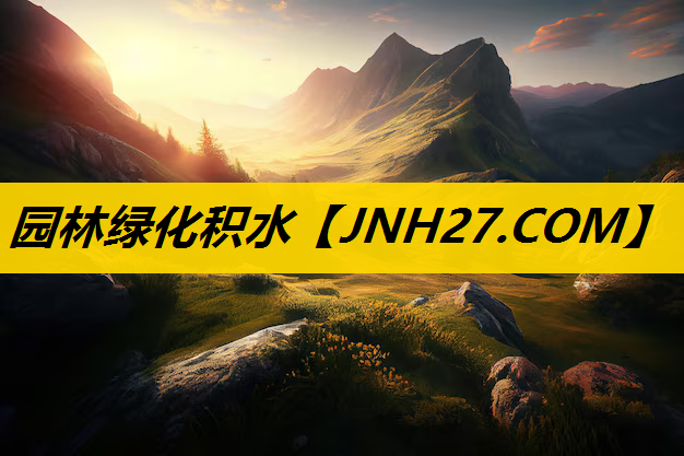 园林绿化积水