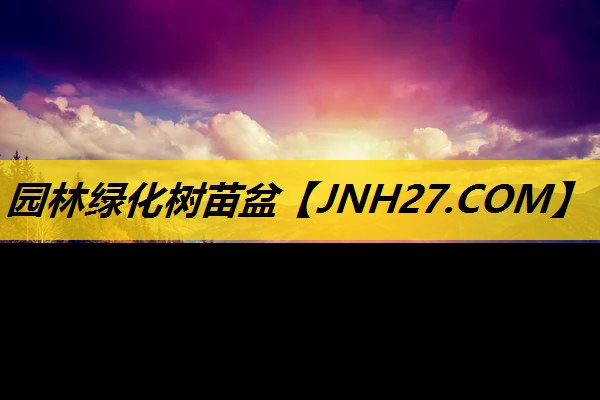 园林绿化树苗盆