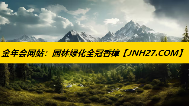 园林绿化全冠香樟