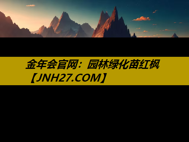 园林绿化苗红枫